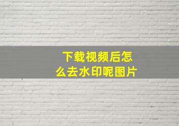 下载视频后怎么去水印呢图片