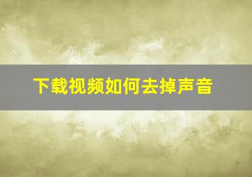 下载视频如何去掉声音