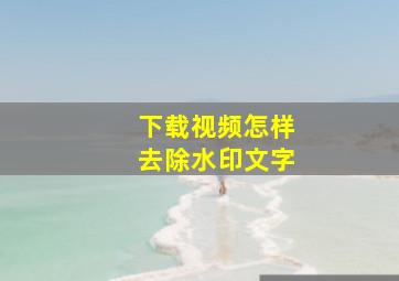 下载视频怎样去除水印文字