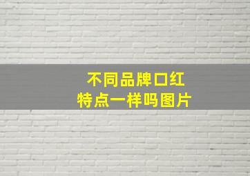 不同品牌口红特点一样吗图片