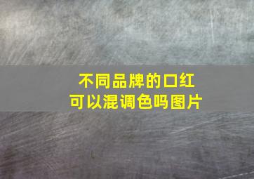 不同品牌的口红可以混调色吗图片