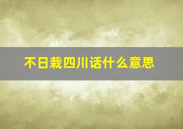 不日栽四川话什么意思