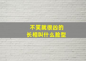 不笑就很凶的长相叫什么脸型