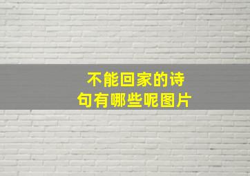 不能回家的诗句有哪些呢图片