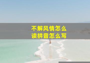 不解风情怎么读拼音怎么写