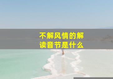 不解风情的解读音节是什么