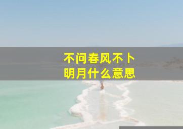 不问春风不卜明月什么意思