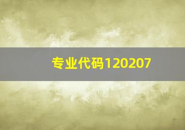 专业代码120207