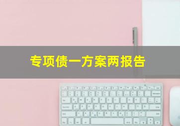 专项债一方案两报告