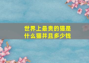 世界上最贵的猫是什么猫并且多少钱