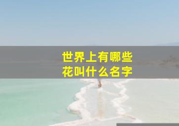 世界上有哪些花叫什么名字