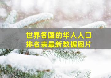 世界各国的华人人口排名表最新数据图片