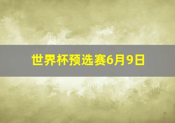 世界杯预选赛6月9日