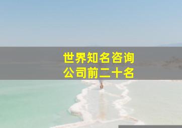 世界知名咨询公司前二十名