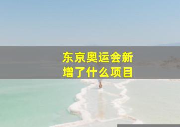 东京奥运会新增了什么项目