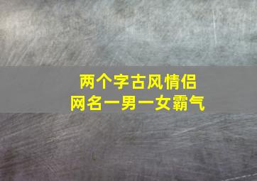 两个字古风情侣网名一男一女霸气