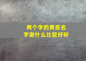 两个字的男孩名字谢什么比较好听