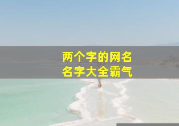 两个字的网名名字大全霸气