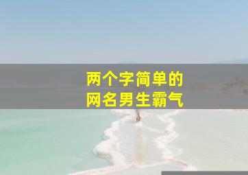 两个字简单的网名男生霸气