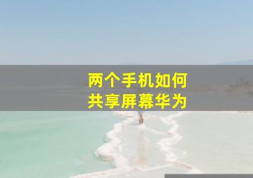 两个手机如何共享屏幕华为