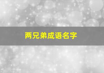 两兄弟成语名字