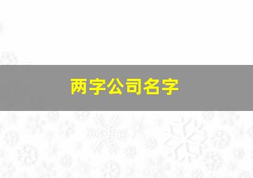 两字公司名字