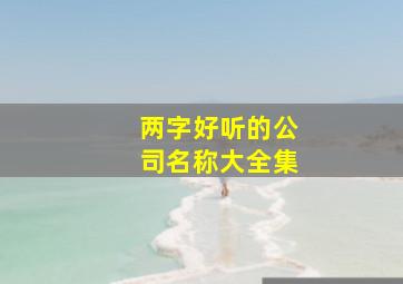 两字好听的公司名称大全集