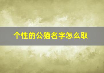 个性的公猫名字怎么取