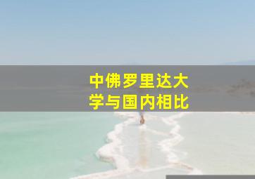 中佛罗里达大学与国内相比