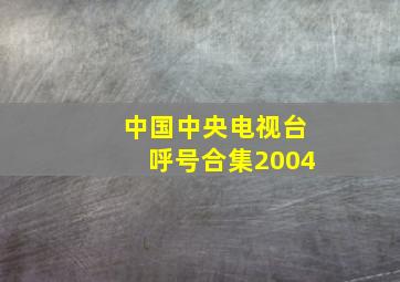 中国中央电视台呼号合集2004