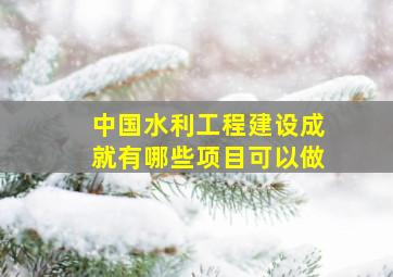 中国水利工程建设成就有哪些项目可以做