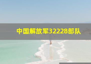 中国解放军32228部队