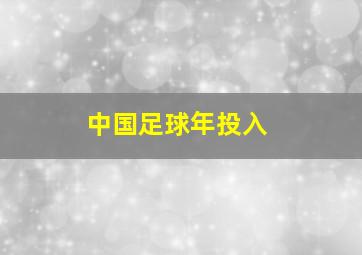 中国足球年投入