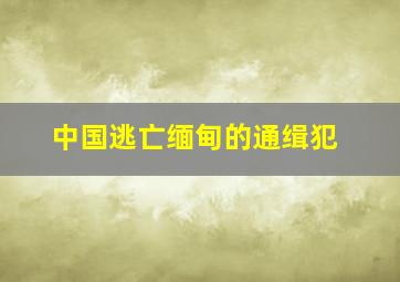 中国逃亡缅甸的通缉犯