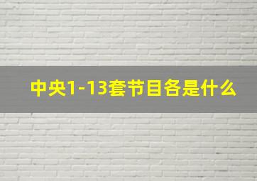 中央1-13套节目各是什么