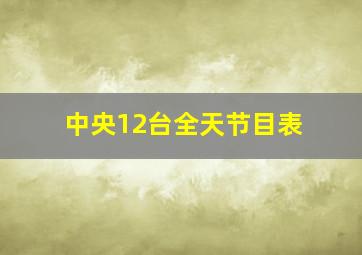 中央12台全天节目表