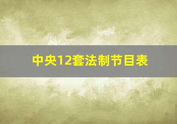 中央12套法制节目表