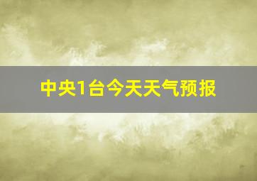 中央1台今天天气预报