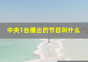 中央1台播出的节目叫什么