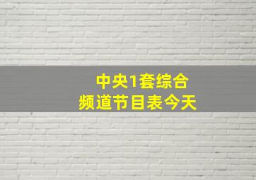 中央1套综合频道节目表今天