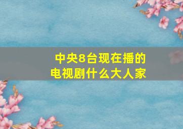 中央8台现在播的电视剧什么大人家