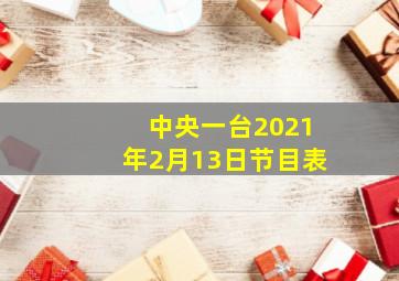 中央一台2021年2月13日节目表