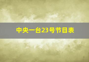 中央一台23号节目表