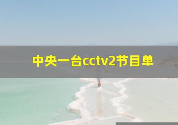 中央一台cctv2节目单