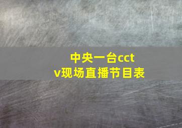 中央一台cctv现场直播节目表