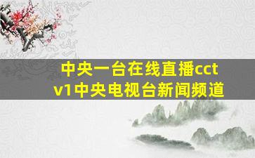 中央一台在线直播cctv1中央电视台新闻频道