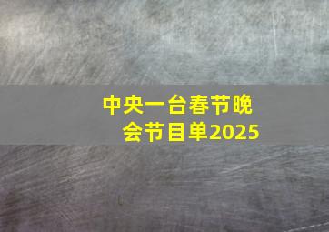 中央一台春节晚会节目单2025