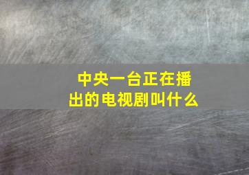 中央一台正在播出的电视剧叫什么