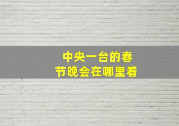 中央一台的春节晚会在哪里看