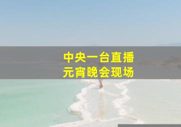 中央一台直播元宵晚会现场